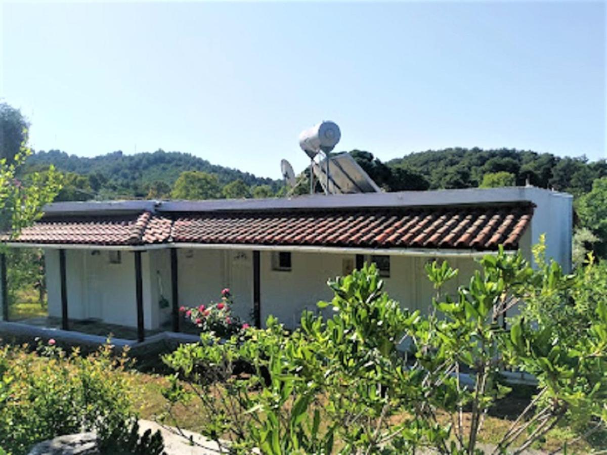 קוקונאריס Kaiti Studios 1 מראה חיצוני תמונה